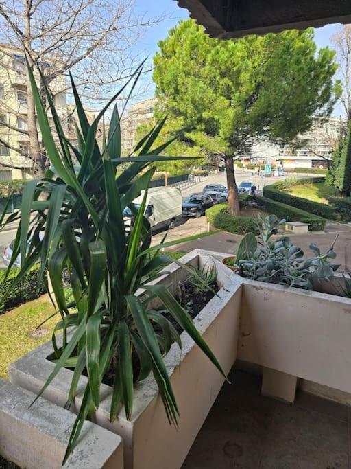 L'Appart' Marseille Extérieur photo
